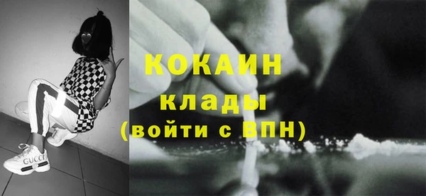молекула духа Арсеньев