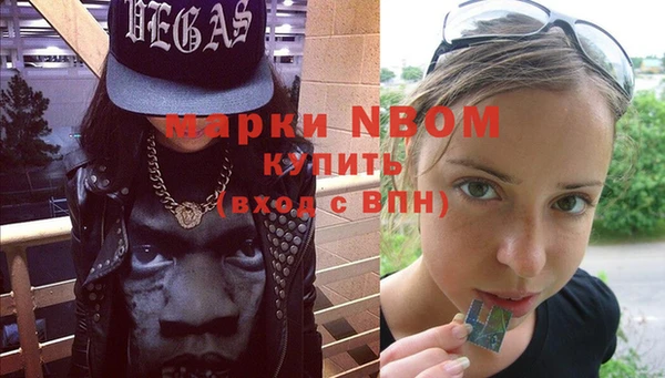 молекула духа Арсеньев