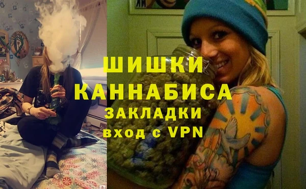 ешки Аркадак
