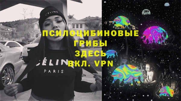 молекула духа Арсеньев