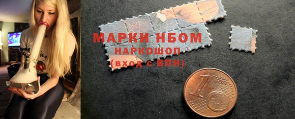 молекула духа Арсеньев