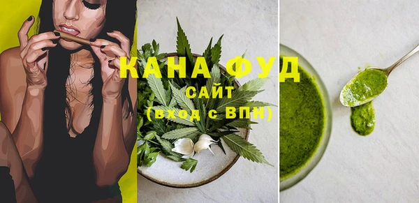 молекула духа Арсеньев