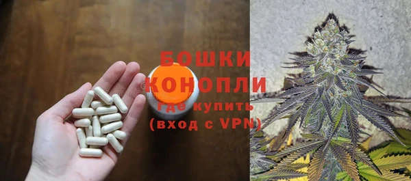 молекула духа Арсеньев
