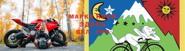 молекула духа Арсеньев