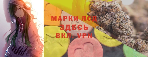 ешки Аркадак